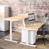 ENVOL ONE│Gamme bureau électrique 4 mémoires simple motorisation