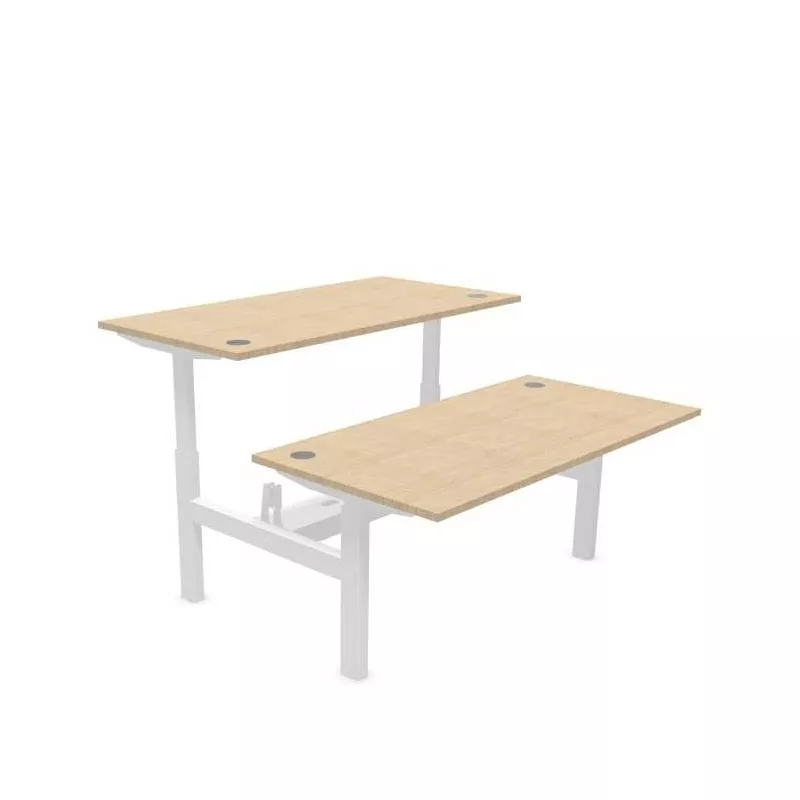 ENVOL EVO PARTAGE│Bureaux électriques 4 moteurs - 4 mémoires de position - USB A+C