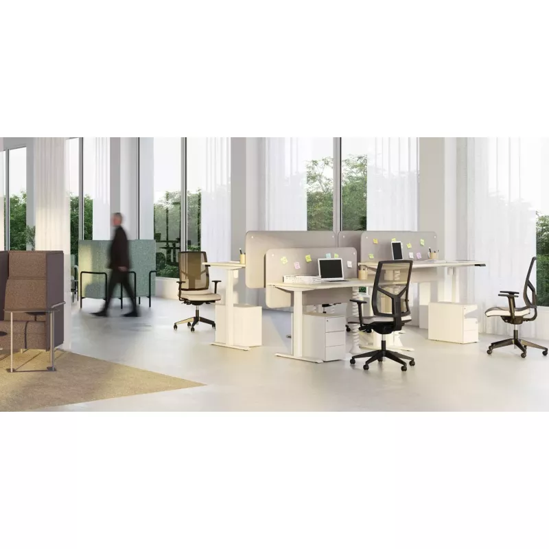 LUTZ 2 épaisseur 19MM│Bureau électrique simple motorisation - 3 mémoires de position - USB A USB C