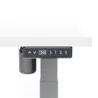 LUTZ 2 épaisseur 19MM│Bureau électrique simple motorisation - 3 mémoires de position - USB A USB C