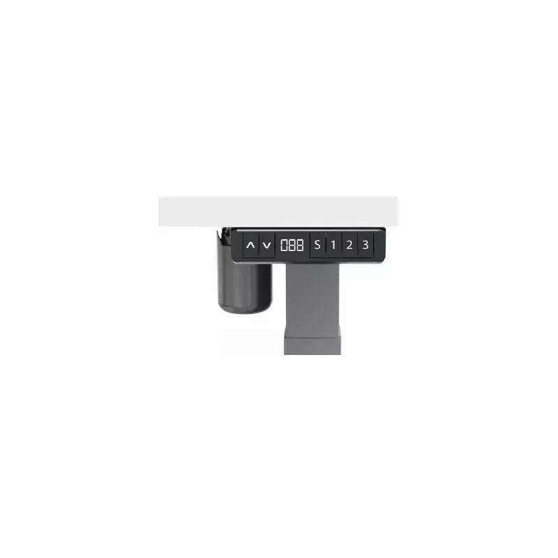 LUTZ 2 épaisseur 25MM│Bureau électrique simple motorisation - 3 mémoires de position - USB A+C