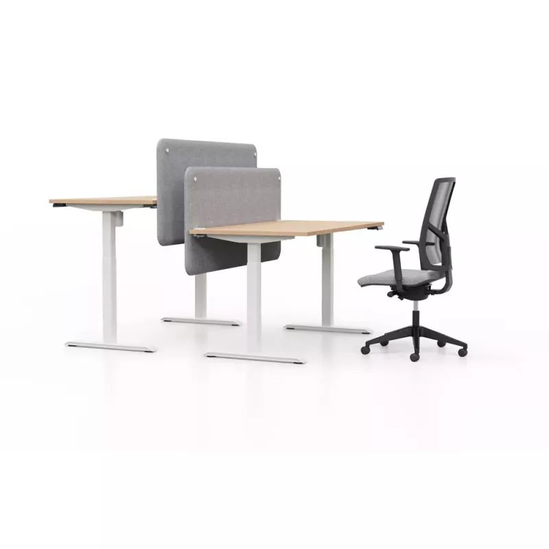 LUTZ 2 épaisseur 25MM│Bureau électrique simple motorisation - 3 mémoires de position - USB A+C