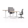 LUTZ 2 épaisseur 25MM│Bureau électrique simple motorisation - 3 mémoires de position - USB A+C