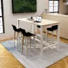 ASTROLITE HAUTE│Bureau p 80 x H 105 cm
