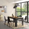 MANCHESTER│Table rectangulaire 1 allonge│90x200xh77 cm