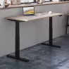 ALTO RH│Bureau électrique 2 moteurs - 4 mémoires de position - USB A+C