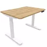 ALTO RH│Bureau électrique 2 moteurs - 4 mémoires de position - USB A+C