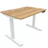 ALTO RH│Bureau électrique 2 moteurs - 4 mémoires de position - USB A+C