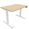 ALTO RH│Bureau électrique 2 moteurs - 4 mémoires de position - USB A+C