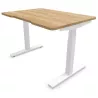 ALTO RH│Bureau électrique 2 moteurs - 4 mémoires de position - USB A+C