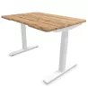 ALTO RH│Bureau électrique 2 moteurs - 4 mémoires de position - USB A+C