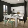 FLORINE BLANCHE│Table rectangulaire 1 allonge│90x140/185xh77 cm