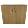 EOL│Armoire Hauteur de bureau L 80 x p 43 x H 71 cm - Portes battantes│Gris alu/Chêne clair