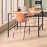 ARA│Tabouret Haut avec dossier