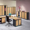 ARIV│Armoire rideau bicolore L 100-120 x H 105 cm│Décor bois/Acier