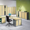 ARIV│Armoire rideau bicolore L 100-120 x H 105 cm│Décor bois/Acier