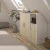 UNDER│Armoire sous pente 2 portes│Chêne│40x80xh110/70 cm