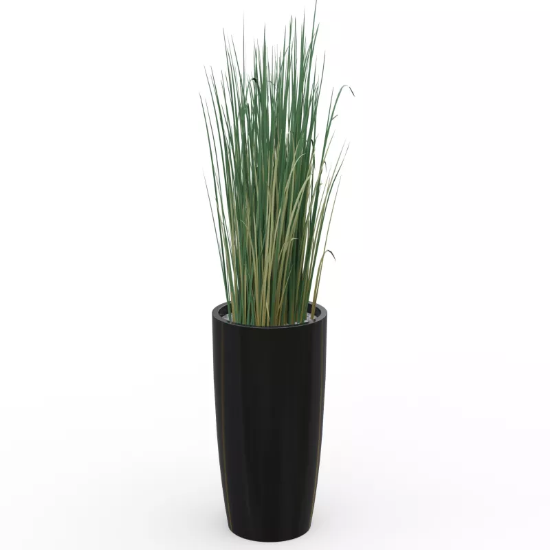 Plante décorative Graminée Folle pot H 70 cm