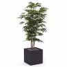 BAMBOU│POT H44cm│Total H175 cm│40x40CM