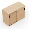 KARA RANGEMENT│Armoire Hauteur bureau x Largeur 100 cm - 2 portes coulissantes│4 coloris à choix