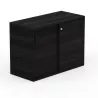 KARA RANGEMENT│Armoire Hauteur bureau x Largeur 100 cm - 2 portes coulissantes│4 coloris à choix