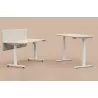 LUTZ 2 épaisseur 25MM│Bureau électrique simple motorisation - 3 mémoires de position - USB A+C