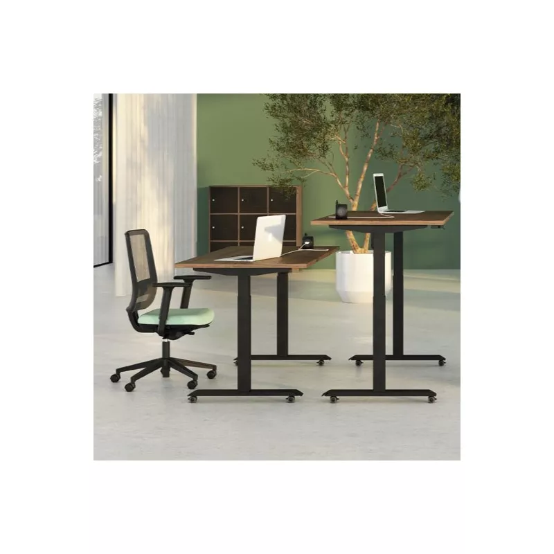 LUTZ 2 épaisseur 25MM│Bureau électrique simple motorisation - 3 mémoires de position - USB A+C