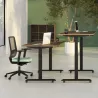 LUTZ 2 épaisseur 25MM│Bureau électrique simple motorisation - 3 mémoires de position - USB A+C