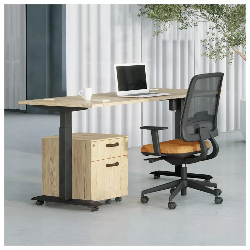 LUTZ 2 épaisseur 25MM│Bureau électrique simple motorisation - 3 mémoires de position - USB A+C