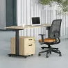 LUTZ 2 épaisseur 25MM│Bureau électrique simple motorisation - 3 mémoires de position - USB A+C