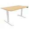 LUTZ 2 épaisseur 19MM│Bureau électrique simple motorisation - 3 mémoires de position - USB A USB C