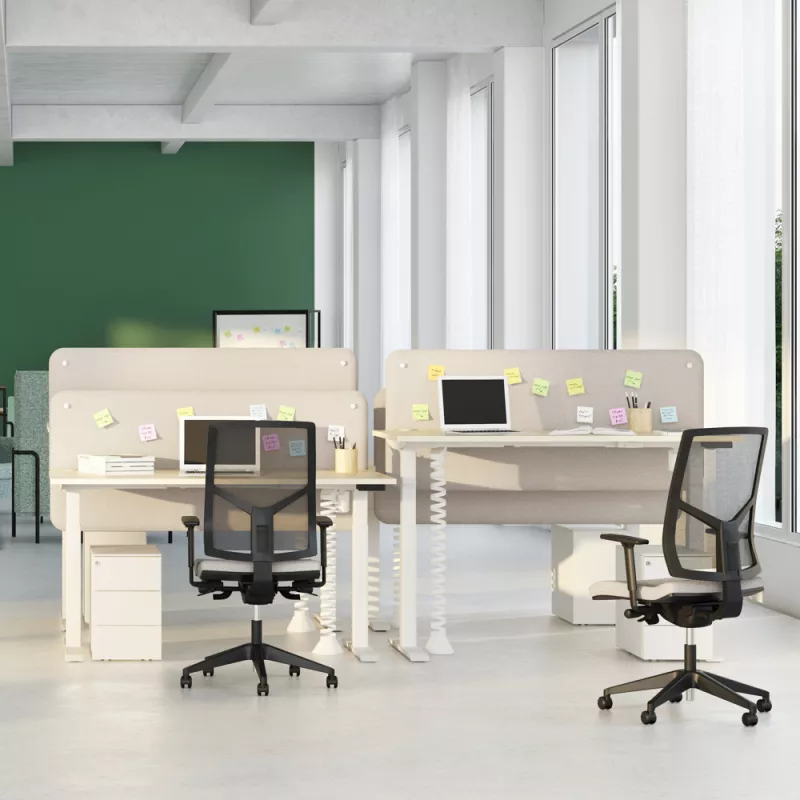 LUTZ 2 épaisseur 19MM│Bureau électrique simple motorisation - 3 mémoires de position - USB A USB C