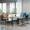 AXEL 2│Bureaux électriques structure partagée - 2 postes - double motorisation