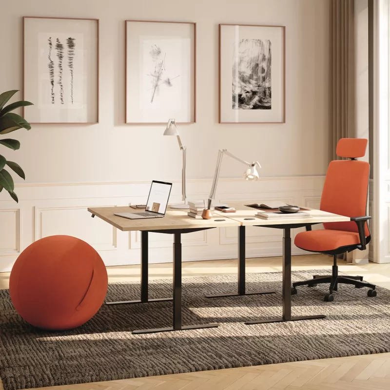 FLEX UP ONE│Bureau électrique 1 moteur - Commande simple