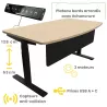 ALTO MANAGER│Gamme bureau électrique 4 mémoires double motorisation