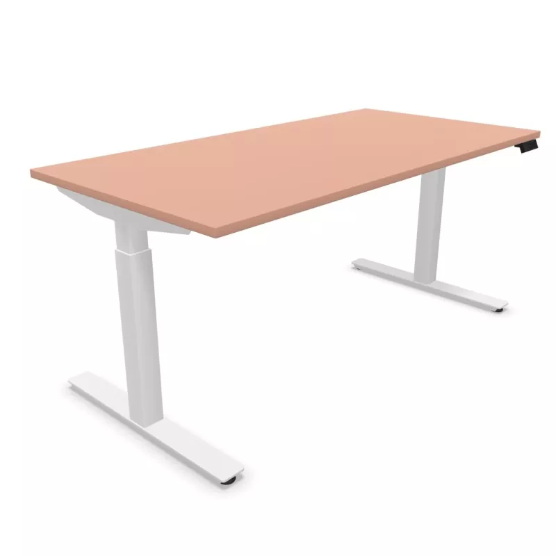 FLEX UP ONE│Bureau électrique 1 moteur - Commande simple
