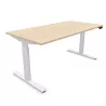 FLEX UP ONE│Bureau électrique 1 moteur - Commande simple