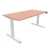 FLEX UP ONE+│Bureau électrique 1 moteur - 2 mémoires de position - 2xUSB A