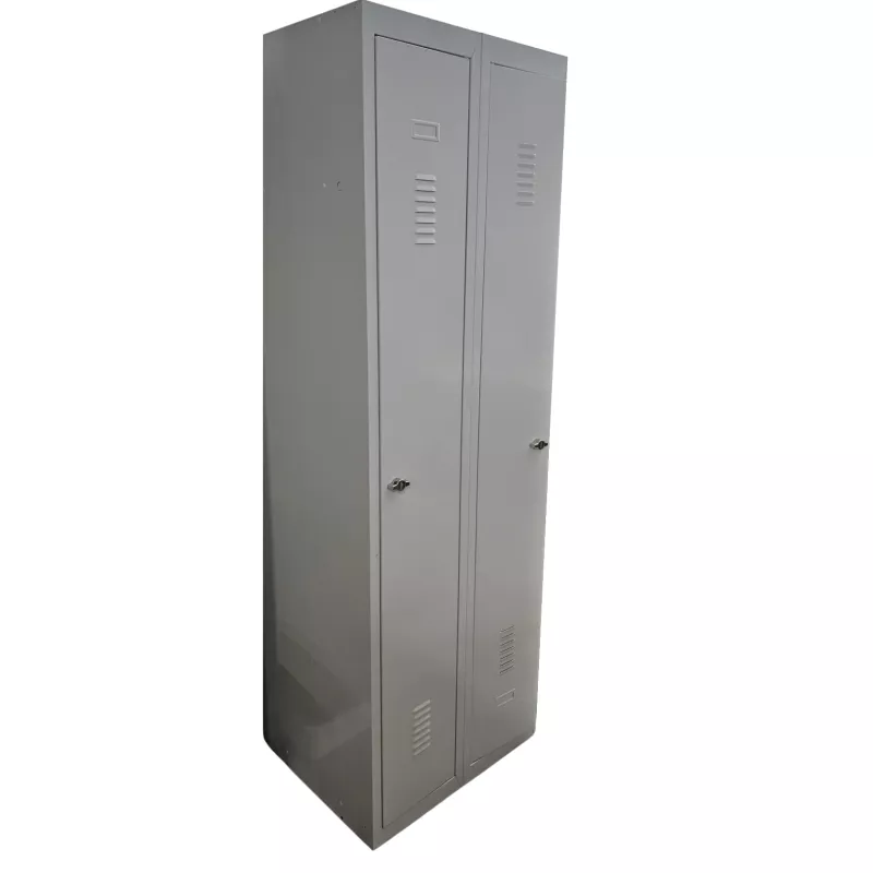 EOL│Vestiaire L 60 x p 50 x H 180 cm - 2 casiers - Industrie Propre │Gris clair