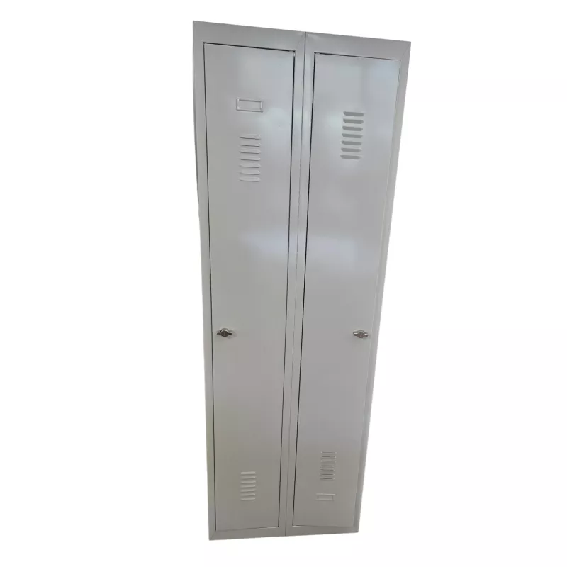 EOL│Vestiaire L 60 x p 50 x H 180 cm - 2 casiers - Industrie Propre │Gris clair