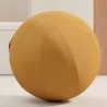 JIM BALL│Ballon ergonomique tapissé│Coloris à choix