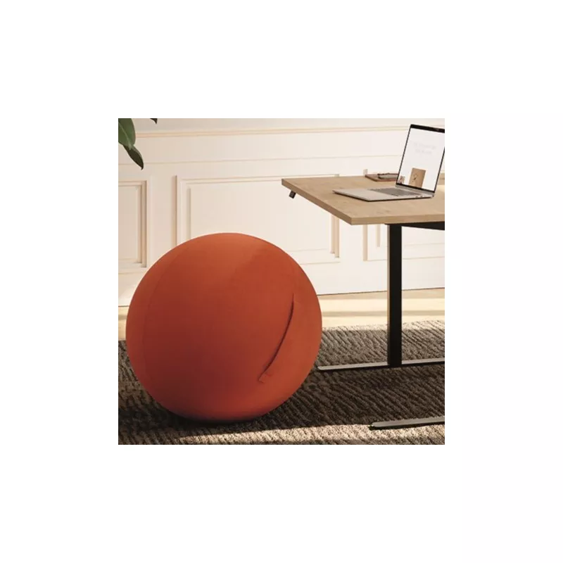 JIM BALL│Ballon ergonomique tapissé│Coloris à choix