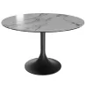 DIABOLO│Table ronde ø120 x H75 cm│Plateau marbre à choix/Piétement noir mat