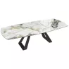 MICHIGAN│Table extensible L 190-270 cm│Plateau céramique│Coloris à choix