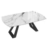 MICHIGAN│Table extensible L 190-270 cm│Plateau céramique│Coloris à choix