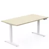 ERIN│Bureau électrique - p 80 cm - 4 mémoires double motorisation