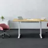AXEL REUNION│Table de Conférence électrique