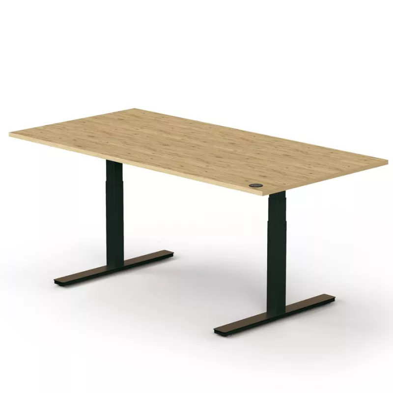 AXEL REUNION│Table de Conférence électrique