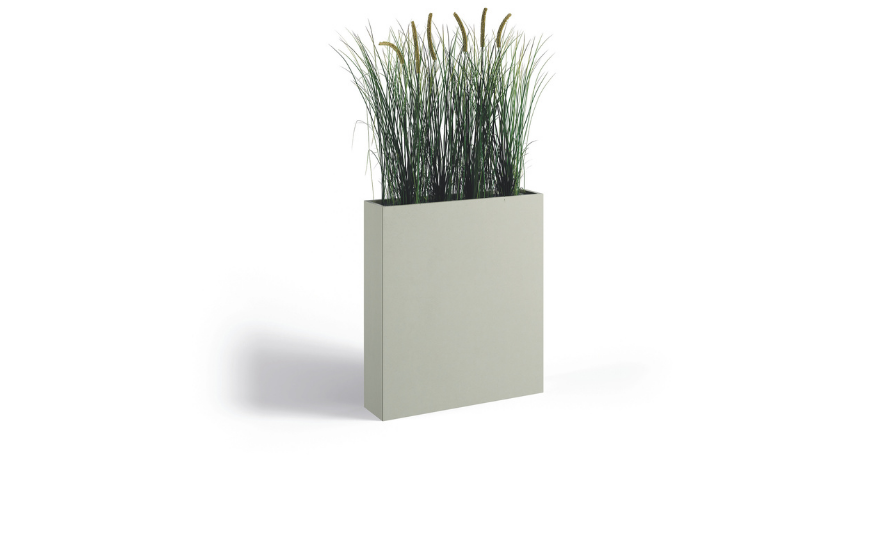 Plantes